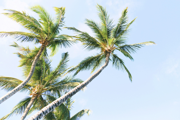 【萊沃醫(yī)療：知識(shí)分享】為什么一到夏季肌膚總鬧“小情緒”