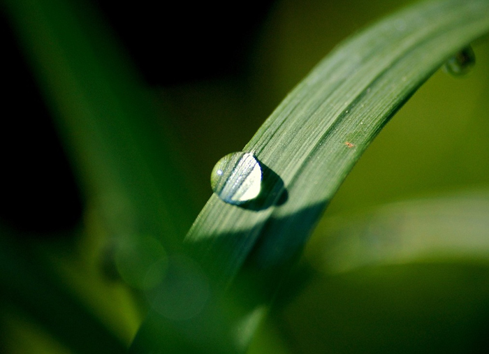 【萊沃醫(yī)療：知識(shí)分享】白露時(shí)節(jié)，秋意漸濃，千萬要牢記這幾點(diǎn)！