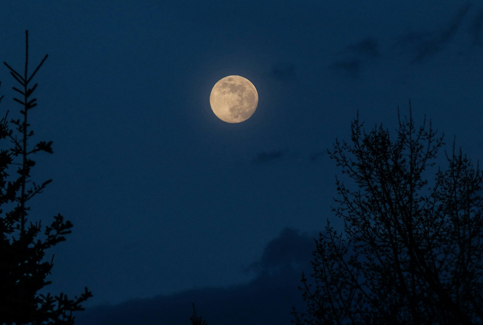 【萊沃醫(yī)療：知識(shí)分享】中秋美食指南，趕快轉(zhuǎn)給“相親相愛一家人”