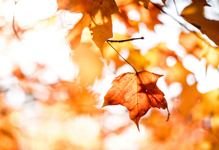 【萊沃醫(yī)療：知識分享】干燥起皮，補水也沒用？肌膚為啥“喝不飽”