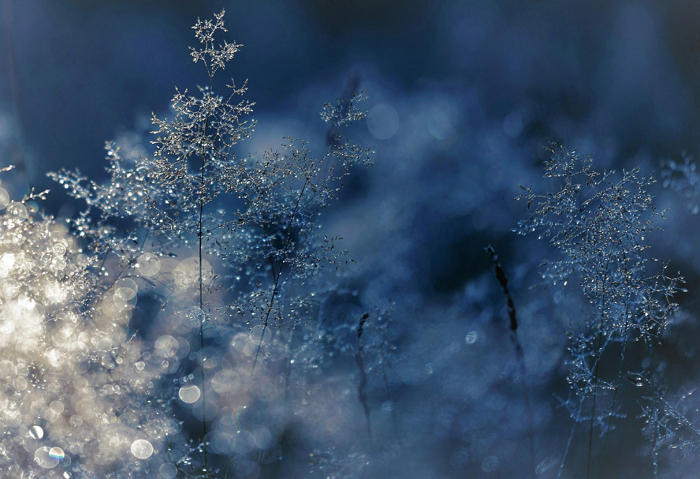 【萊沃醫(yī)療：知識分享】寒潮預警：斷崖式降溫！這幾件事一定要注意！