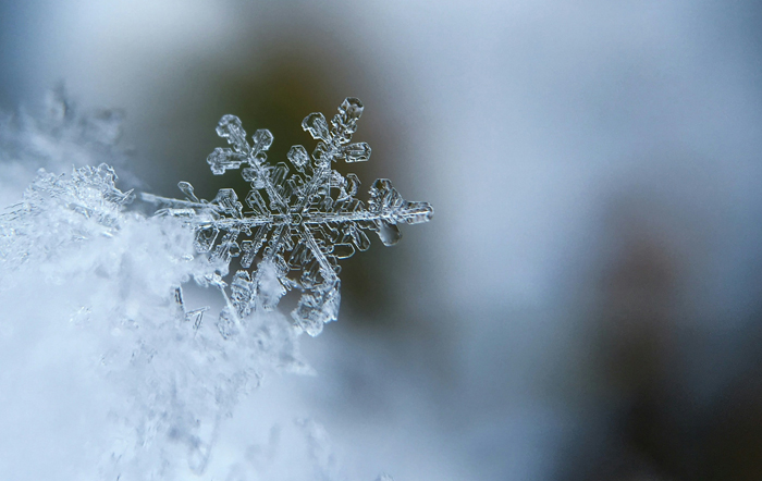 【萊沃醫(yī)療：知識分享】冬至將至，藏在一年最冷時的“健康密碼”，快收好呀！