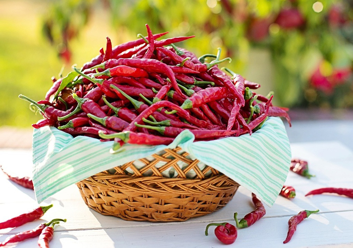 【萊沃醫(yī)療：知識分享】為什么醫(yī)生總告訴少吃辛辣食物