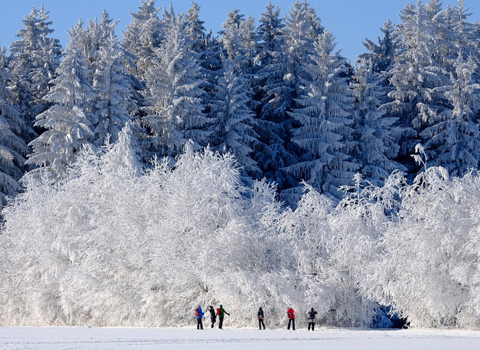 【萊沃醫(yī)療：知識分享】來東北旅行，這些事項要記牢！