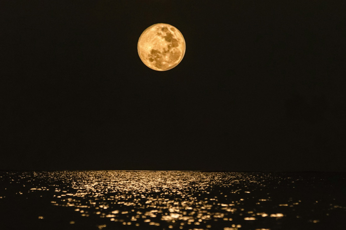 【萊沃醫(yī)療：知識分享】元宵節(jié)，湯圓就得這么吃！