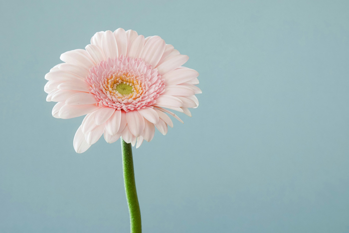 【萊沃醫(yī)療：知識分享】婦女節(jié)：生活再忙，也要好好愛自己