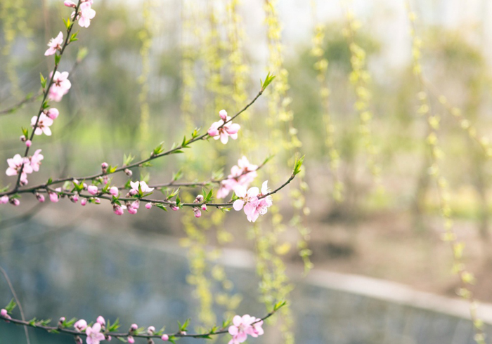 【萊沃醫(yī)療：知識分享】清明出行暗藏“危機”？這些注意事項你必須知道！