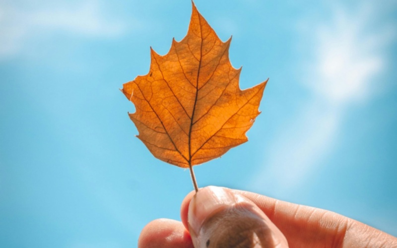 【萊沃醫(yī)療：知識分享】“多事之秋”又要來了，這三個(gè)“隱形坑”，你踩中了嗎？